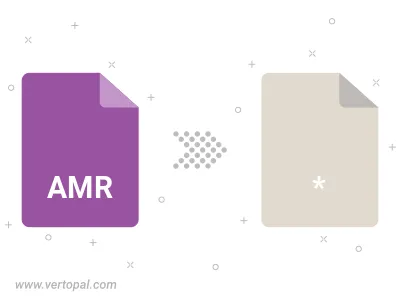 AMR Converter