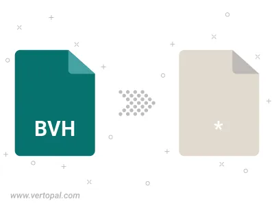 BVH Converter