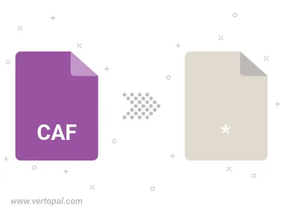 CAF Konverter CAF Konverter