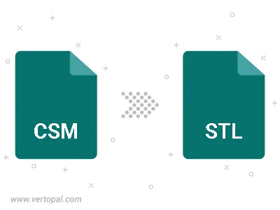 Convert CSM to STL