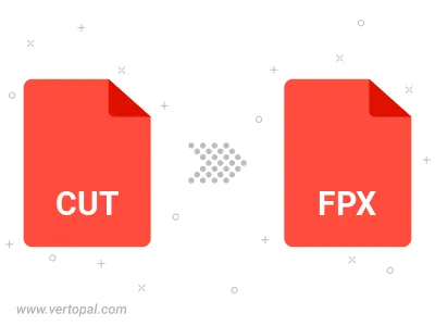 Convert CUT to FPX