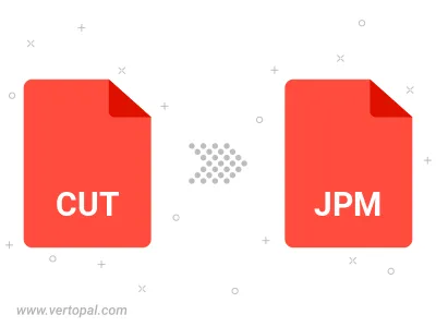 Convert CUT to JPM