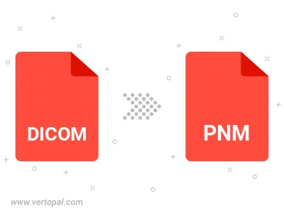 DICOM in PNM konvertieren