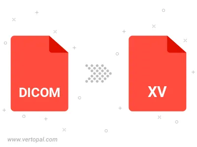 DICOM in XV konvertieren