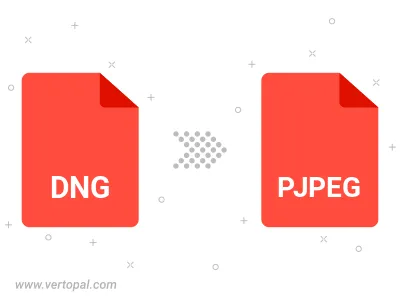 Convert DNG to PJPEG