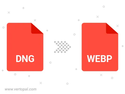 DNG in WEBP konvertieren