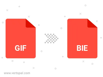 Convert GIF to BIE