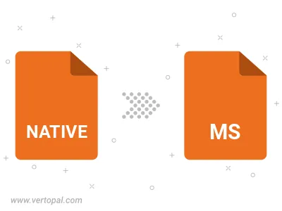 NATIVE in MS konvertieren NATIVE in MS konvertieren