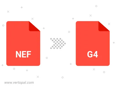 NEF in G4 konvertieren