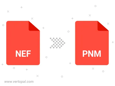 Convert NEF to PNM