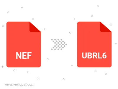 NEF in UBRL6 konvertieren