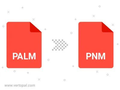 Convert PALM to PNM