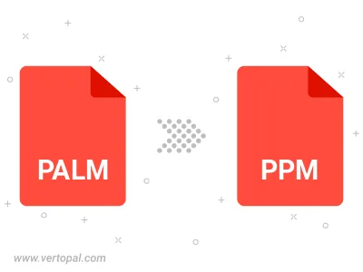 Convert PALM to PPM