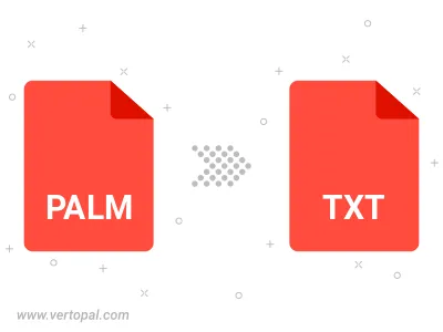 Convert PALM to TXT BRAILLE
