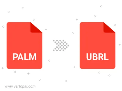 PALM in UBRL konvertieren PALM in UBRL konvertieren