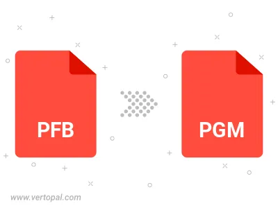 PFB GRAPHICS in PGM konvertieren