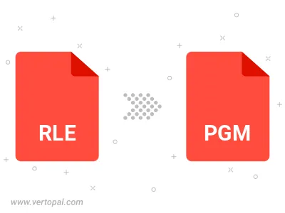 Convert RLE to PGM