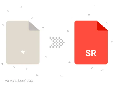 Konvertieren zu SR Konvertieren zu SR