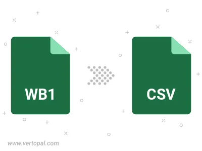WB1 in CSV konvertieren