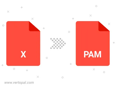 X AVS in PAM konvertieren