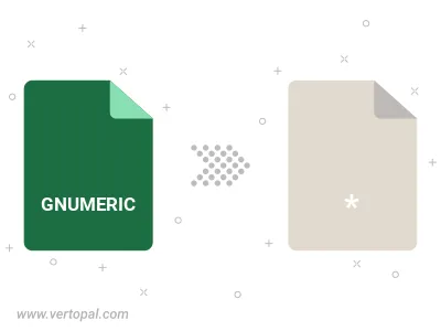 GNUMERIC Converter GNUMERIC Converter