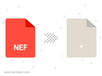 NEF Converter NEF Converter