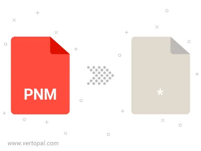 PNM Converter