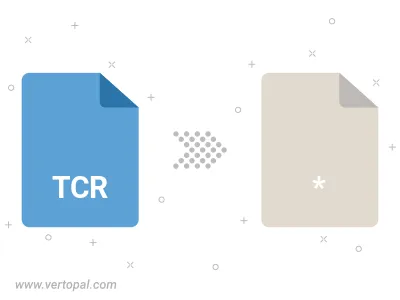 TCR Converter TCR Converter