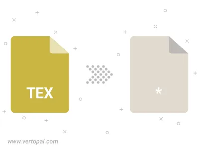 TEX Converter