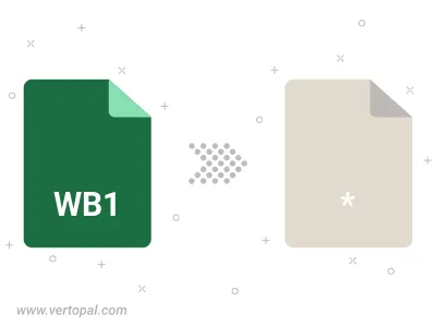 WB1 Converter WB1 Converter