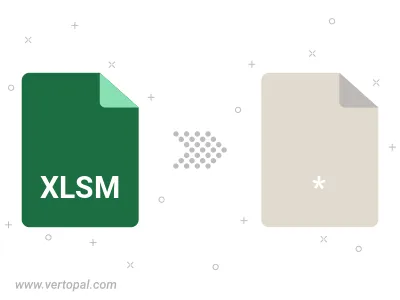 XLSM Converter